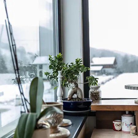 シャレー Tri Kocky *